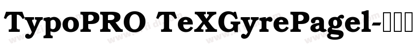 TypoPRO TeXGyrePagel字体转换